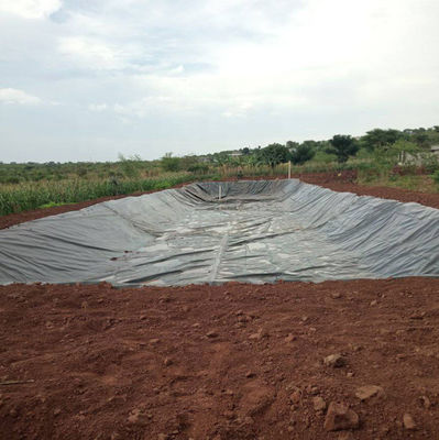 500 Mikrometer HDPE-Geomembran-Fischbecken-Liner für die Wasserdichtung und die Wasserdichtung