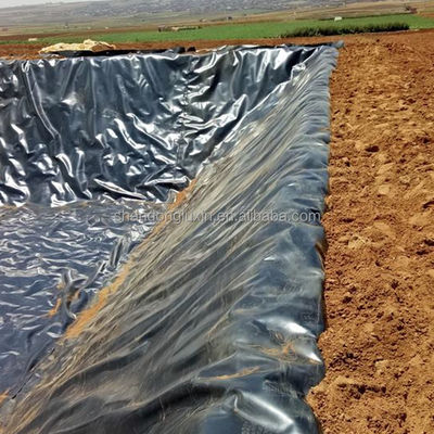 Glatte Geomembranen zum Schutz von Neigungen an vorgefertigten Abfalldeponien im Freien