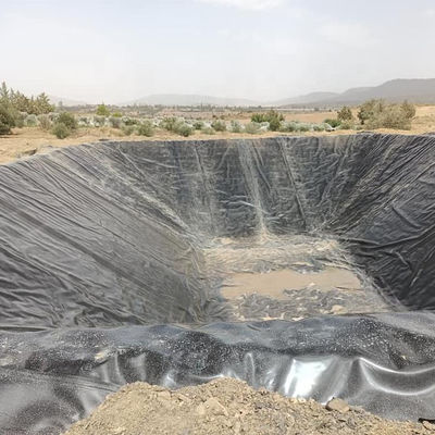1 mm HDPE-Geomembran-Liner für Fisch, Garnelenfarmen und Teiche