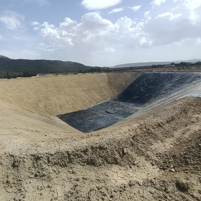 1 mm HDPE-Geomembran-Liner für Fisch, Garnelenfarmen und Teiche