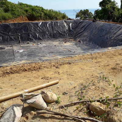 Projektlösung Kapazität Geomembran aus HDPE für Fischzuchtbecken 1 mm Dicke