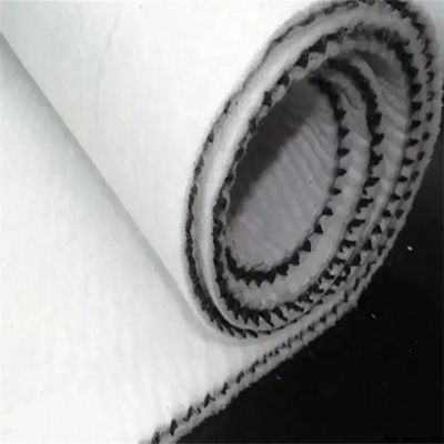 Hdpe Kunststoff 3d dreischichtiger Komposit-Drainage-Netz Netzwerk Geonet für kundenspezifische Länge