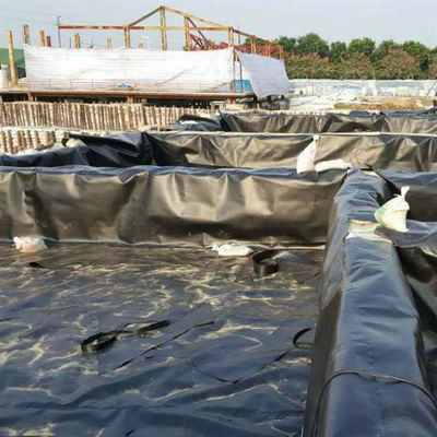 Doppelschleimige Geomembran aus HDPE für Fischzucht, Aquakultur, Teichverkleidung und Dammverkleidung