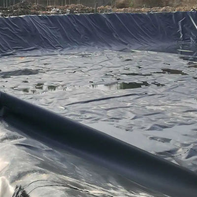 Doppelschleimige Geomembran aus HDPE für Fischzucht, Aquakultur, Teichverkleidung und Dammverkleidung