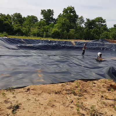 1 mm 0,75 mm Geomembran Anti-UV Hdpe Teichfolie für Kunststoff-Farmbehälter Länge 50m-100m/Rolle