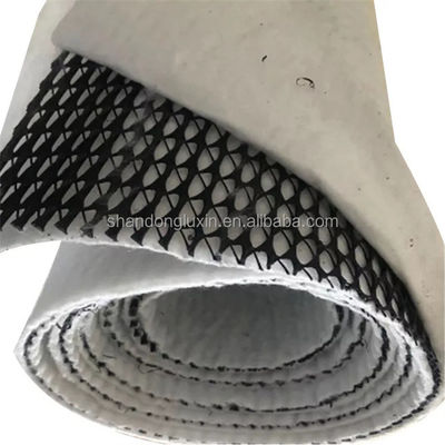 Industriedesign Landschaftsgestaltung Drainage Mat 3D Komposit Drainage Geonet Verbundnetz