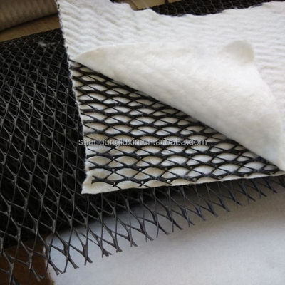 HDPE Mesh 3D-Verbund-Drainage-Verbund-Geo-Net Geonet für Stauseen Länge 100m