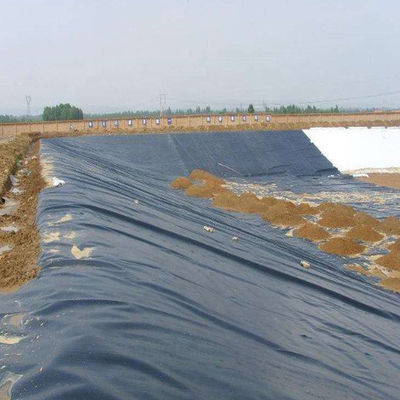 ASTM GM13 Standard HDPE Geomembran Liner 0,3 mm 0,5 mm 0,75 mm 1 mm für Ländermärkte