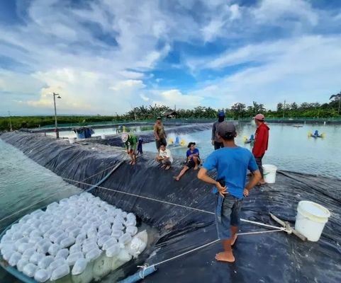 Geomembranen 1 mm 2 mm Wasserdichtes Tank-Damm Auskleidung Schwimmbad Fisch Teich Farm Liner HDPE