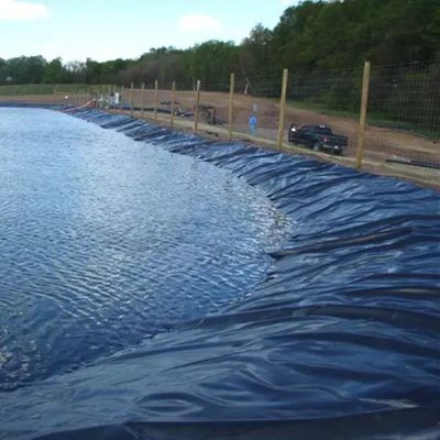 Geomembranen 1 mm 2 mm Wasserdichtes Tank-Damm Auskleidung Schwimmbad Fisch Teich Farm Liner HDPE