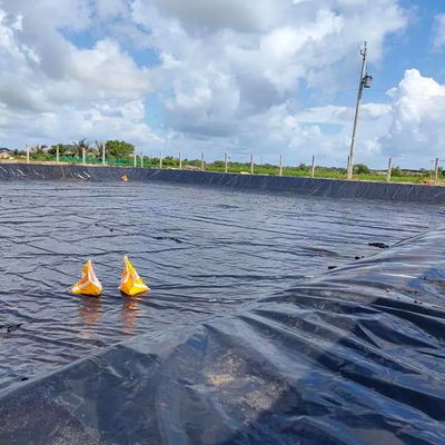 Geomembranen 1 mm 2 mm Wasserdichtes Tank-Damm Auskleidung Schwimmbad Fisch Teich Farm Liner HDPE