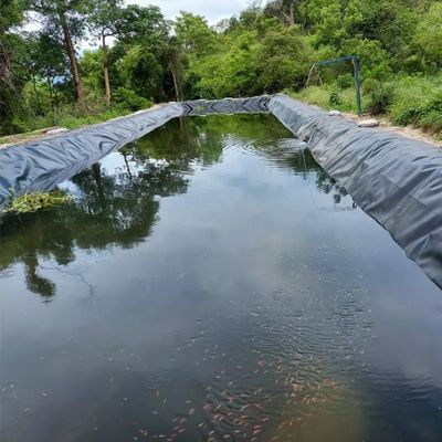 Probe zur Verfügung gestellt HDPE-Geomembran für den See-Tank-Staudamm-Beschichtung Schwimmbad-Fisch-Teich-Farm