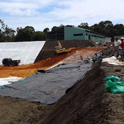 Probe zur Verfügung gestellt HDPE-Geomembran für den See-Tank-Staudamm-Beschichtung Schwimmbad-Fisch-Teich-Farm