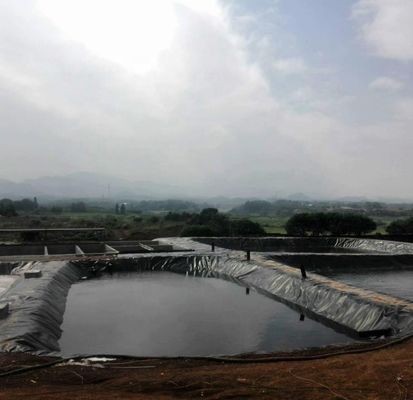 Grüne Geomembran für wasserdichtes, künstliches Seebecken