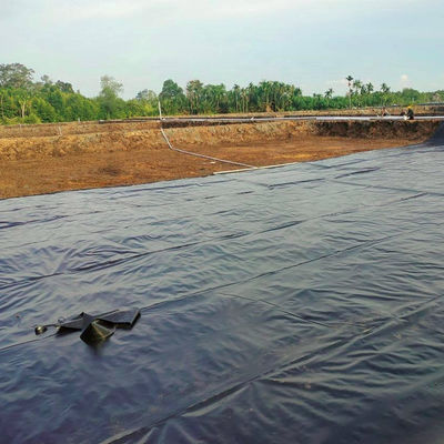 Grüne Geomembran für wasserdichtes, künstliches Seebecken
