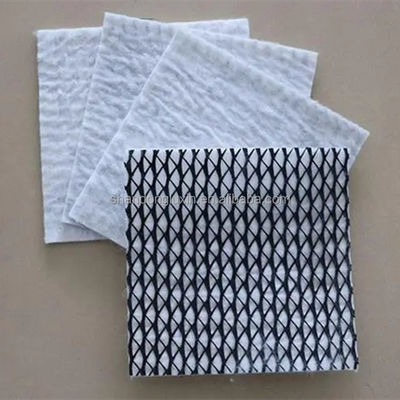 50m/100m Länge HDPE-Gitter 3D-Verbund-Drainage-Verbund-Geo-Netz in Schwarz-Weiß
