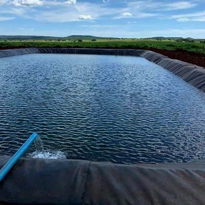 1.0mm HDPE Geomembran für Fischbecken Breite 1-6m Chemikalienbeständige schwarze Geomembran