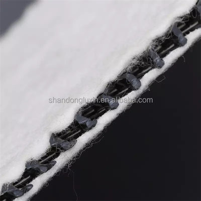 Schwarz-Weiß dreidimensionales Komposit-Drainage-Netzwerk Geonet Hdpe 5 mm Drainage Mat Nonwoven