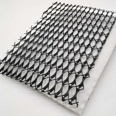 HDPE 3D Salzbarrieren Drainage Geonet Geocomposite Netz für Deponien Straße Garten Drainage