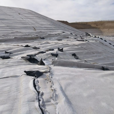 HDPE 3D Salzbarrieren Drainage Geonet Geocomposite Netz für Deponien Straße Garten Drainage