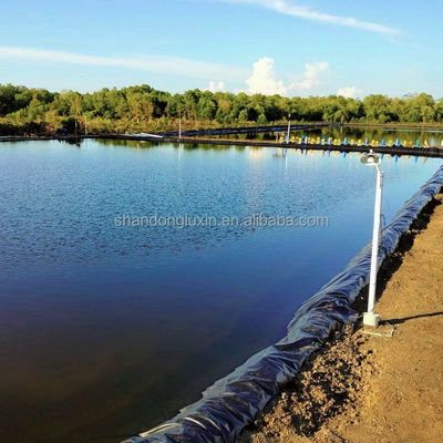 ASTM GRI-GM13 Standard-HDPE-Liner für Fischbecken und Aquarien