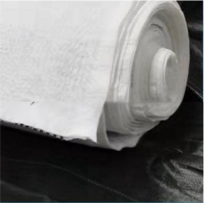 Wasserentwässerungsfunktion Schwarz-Weiß 5 mm HDPE-Verbundabflussnetz für Deponien