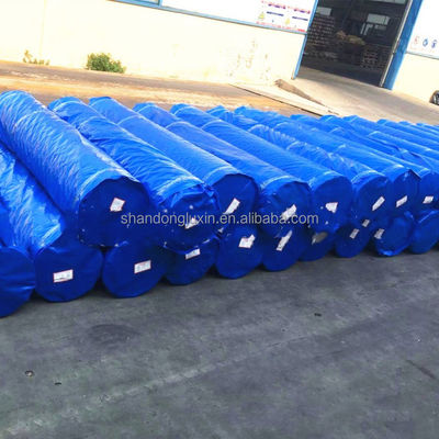Wasserdichte Schwermaschine 2m x 100m HDPE-Plattenrolle mit überzogenem Gewebe in Korea