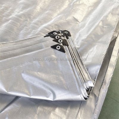 Wasserdichte Schwermaschine 2m x 100m HDPE-Plattenrolle mit überzogenem Gewebe in Korea