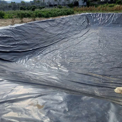 Doppelschleimige HDPE-Wasserdichte Geomembranplatte aus Kunststoff für Aquakulturfischbecken