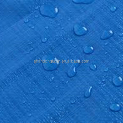 500D-1500D Garnzahl HDPE Schwerlast-Zugfahrzeug-Platte Wasserdichte blaue Platte