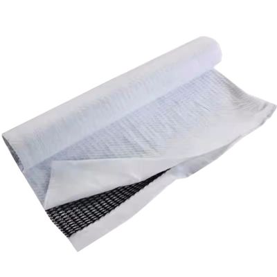 Density Polyethylen Kunststoff 8 mm Abflussnetz für Deponien ISO9001 zertifiziert