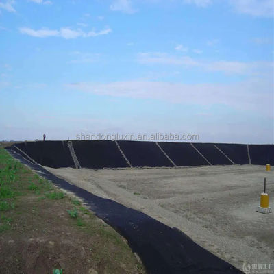 Doppel glatte Geomembran aus HDPE für Fischbecken 1.25 mm/2 mm/4 mm Dicke Shandong Exporteur