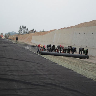 Doppel glatte Geomembran aus HDPE für Fischbecken 1.25 mm/2 mm/4 mm Dicke Shandong Exporteur