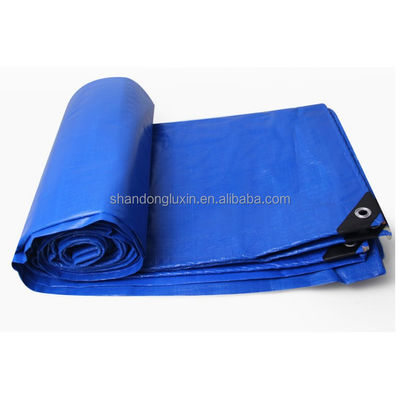 Lkw/Auto/Boot-Bedeckungen professionelle PE-Bedeckung Tarpaulin Poly Tarps-Blatt mit Oberflächenbehandlung