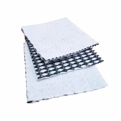 Gesamtlösung für Projekte 6 mm Dicke Paste Geotextil Verbunddrainage Geonet
