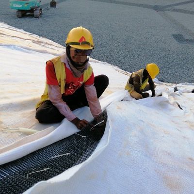 Verbundene Drainage Geonet mit Geotextilklebstoff und 8 mm Dicke ISO9001-zertifiziert