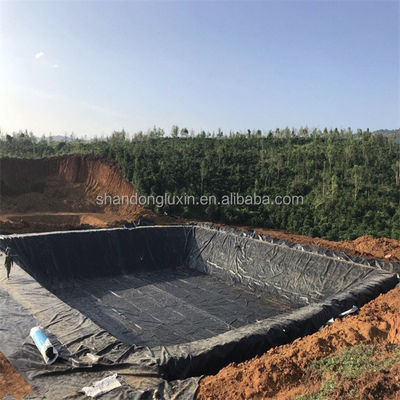 Industrie-Design-Stil HDPE Geomembran-Liner 0,5 mm 1,0 mm 1,2 mm 2 mm für Fischfarm-Teich