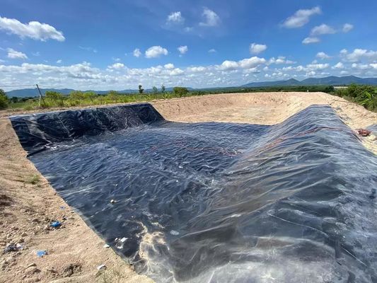 500 Mikrometer Staudammverkleidung Preise HDPE Geomembran Wasserdicht für Fischzucht Teichverkleidung