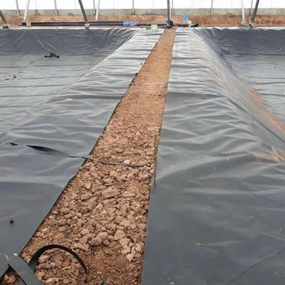 Schwarze 1,5 mm HDPE-Geomembran-Wasserbelag für Fischfarmen mit doppelter Textur