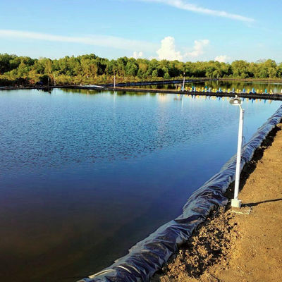 0.3mm-3.0mm Dicke HDPE Geomembran für Staudamm Liner Reservoir Bergbau Garnelenfarm Teich
