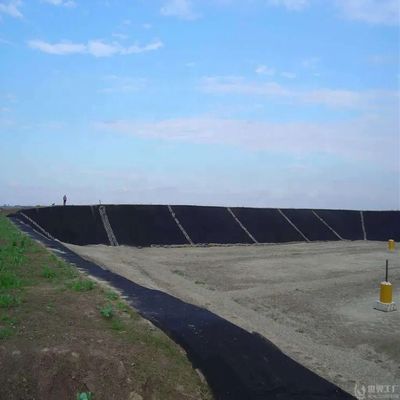 HDPE-Geomembran-Liner für Fischbecken mit doppelt glatter Oberfläche 0,5 mm 1,0 mm 1,2 mm 2 mm
