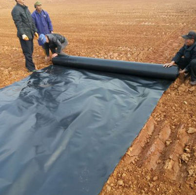 Anpassbares Geomembran-Liner aus HDPE 0,5 mm 0,75 mm 1 mm für Gesamtprojektlösungen