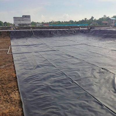 LLDPE Geomembranen Dauerhafte Schwimmbad-Liner für die Aquakultur Fischzucht Plastikteich