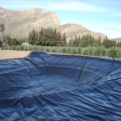 Industrieentwurf 0,5 mm HDPE-Glattes Geoliner für Fischbecken für die Aquakultur