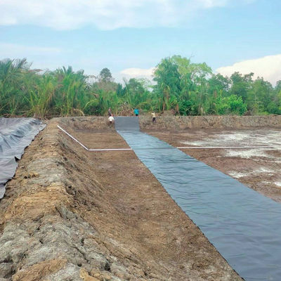 Online-Technische Unterstützung Wasserdichte Geomembran aus HDPE-Kunststoff für Lagunen-Liner für Staudämme
