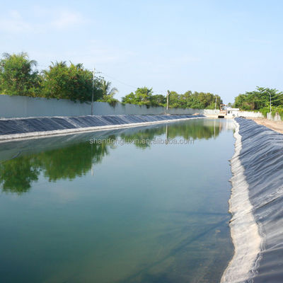 Dichte 0,940 g/cm3 1 mm HDPE-Geomembran-Liner für die künstliche Belagung von Dammdeponien