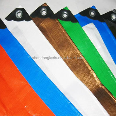 LDPE-Beschichtung Wasserdichte Tarpaulin Schwerlastdachdach Zelt Boot Markise RV Pool Cover