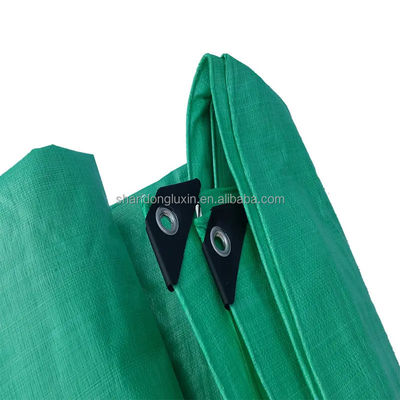 Weitere Modelle hoch zerreißbeständig String verstärktes Gerüst Tarpaulin 6mil 20 x100Fuß