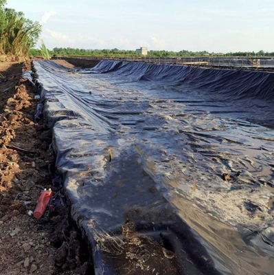 Speisen Anti-UV Hdpe Teich Liner 0,5mm 1mm 1,5mm 2mm Geomembran für Damm Fischfarm Tank