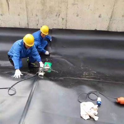 Geomembran aus Kunststoff für Fischbehälter für Liner-HDPE-Material und Hummerzucht im Bergwerk usw.